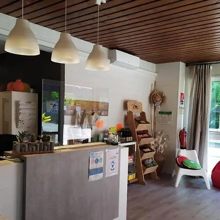 Mobil-home Avec Terrasse à - Api-1-52-1141 Camping *